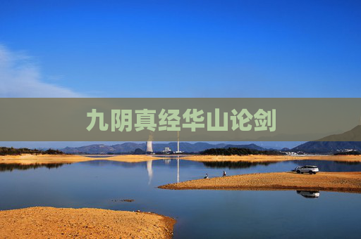 九阴真经华山论剑