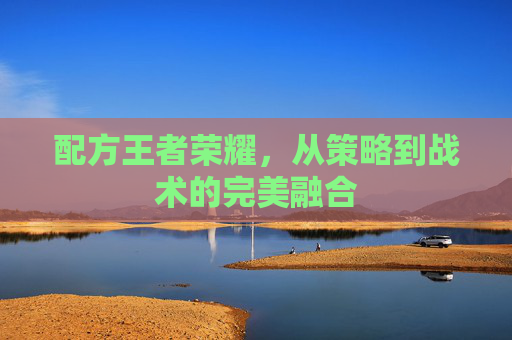 配方王者荣耀，从策略到战术的完美融合
