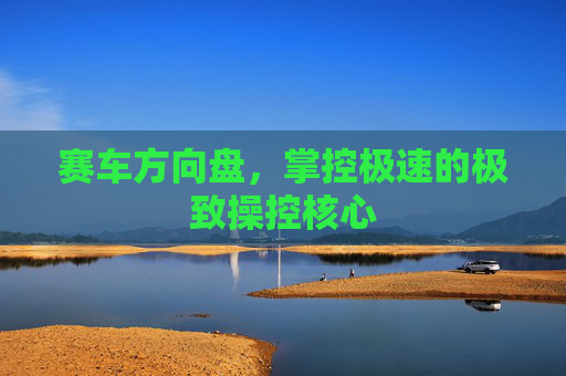 赛车方向盘,掌控极速的极致操控核心 赛车方向盘,掌控极速的极致操控核心
