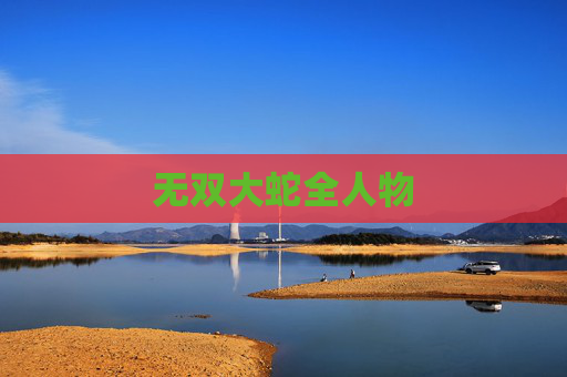 无双大蛇全人物