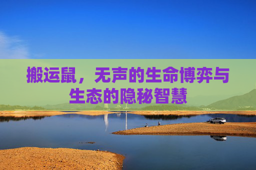 搬运鼠,无声的生命博弈与生态的隐秘智慧 搬运鼠,无声的生命博弈与生态的隐秘智慧