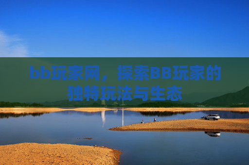 bb玩家网,探索BB玩家的独特玩法与生态 bb玩家网,探索BB玩家的独特玩法与生态