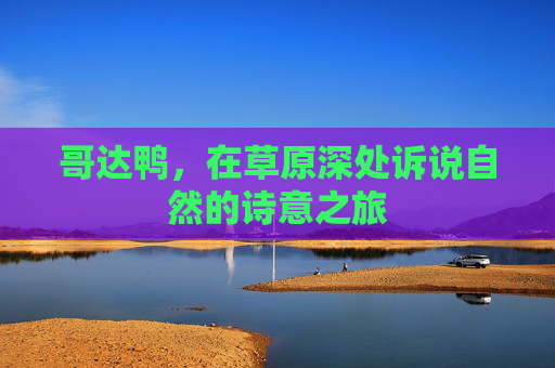哥达鸭，在草原深处诉说自然的诗意之旅