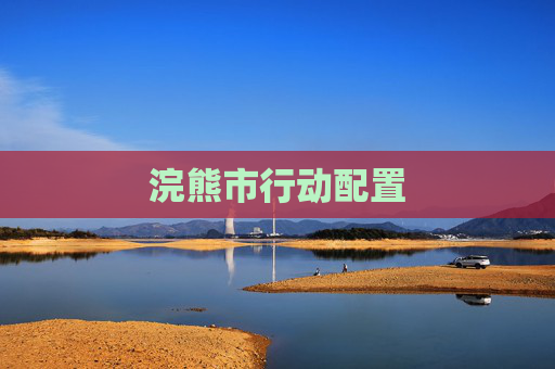 浣熊市行动配置 浣熊市行动配置