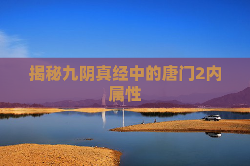 揭秘九阴真经中的唐门2内属性 揭秘九阴真经中的唐门2内属性