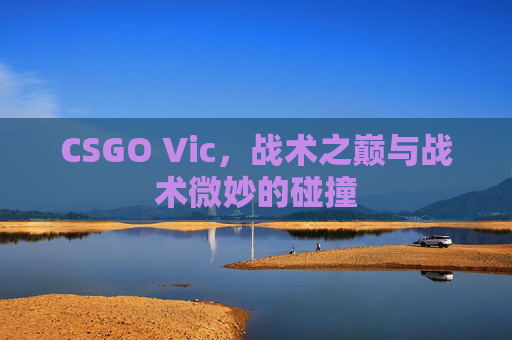 CSGO Vic，战术之巅与战术微妙的碰撞
