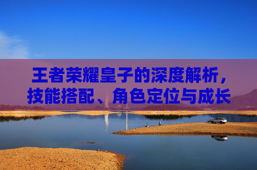 王者荣耀皇子的深度解析,技能搭配、角色定位与成长之路 王者荣耀皇子的深度解析,技能搭配、角色定位与成长之路