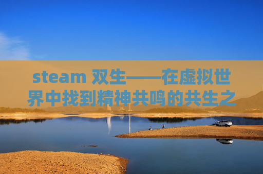 steam 双生——在虚拟世界中找到精神共鸣的共生之境