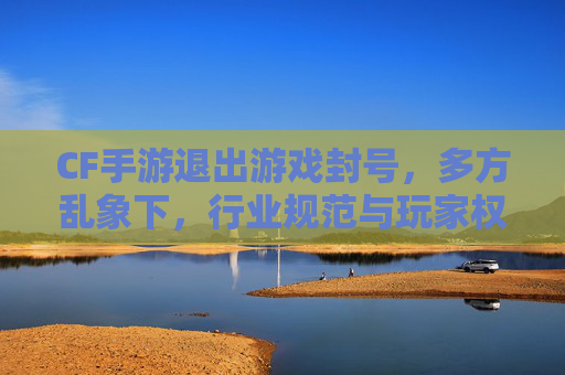 CF手游退出游戏封号，多方乱象下，行业规范与玩家权益的博弈与反思