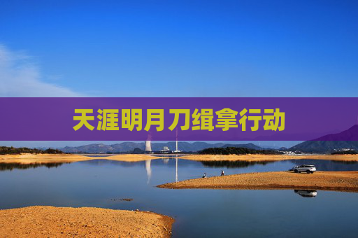 天涯明月刀缉拿行动 天涯明月刀缉拿行动