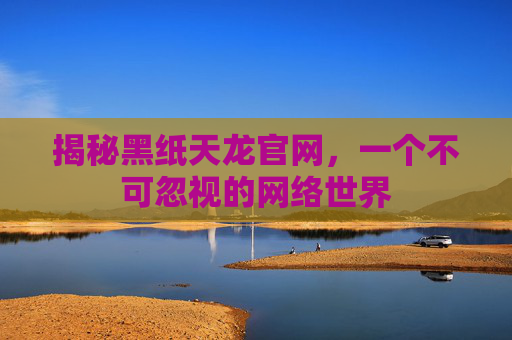 揭秘黑纸天龙官网,一个不可忽视的网络世界 揭秘黑纸天龙官网,一个不可忽视的网络世界
