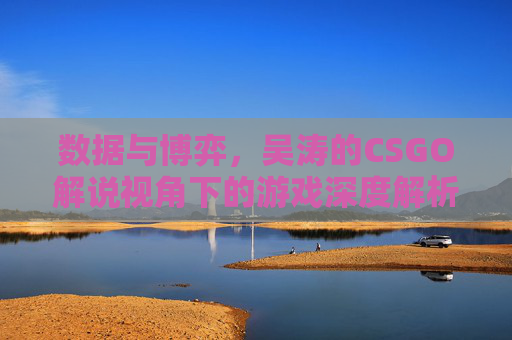 数据与博弈，吴涛的CSGO解说视角下的游戏深度解析