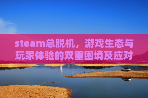 steam总脱机,游戏生态与玩家体验的双重困境及应对之道 steam总脱机,游戏生态与玩家体验的双重困境及应对之道