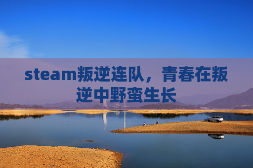 steam叛逆连队,青春在叛逆中野蛮生长 steam叛逆连队,青春在叛逆中野蛮生长