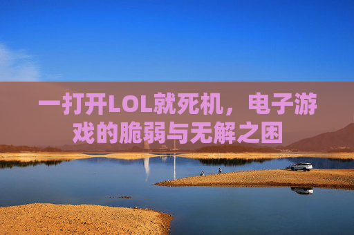 一打开LOL就死机，电子游戏的脆弱与无解之困
