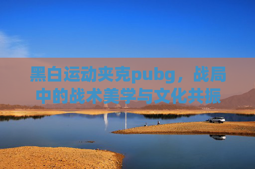 黑白运动夹克pubg，战局中的战术美学与文化共振