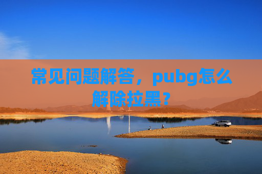 常见问题解答，pubg怎么解除拉黑？