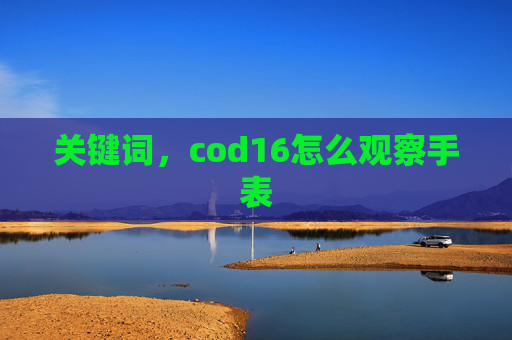 关键词，cod16怎么观察手表