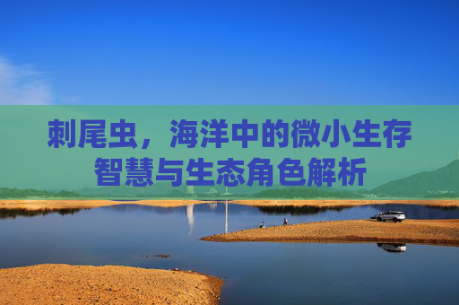 刺尾虫,海洋中的微小生存智慧与生态角色解析 刺尾虫,海洋中的微小生存智慧与生态角色解析