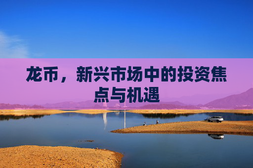 龙币,新兴市场中的投资焦点与机遇 龙币,新兴市场中的投资焦点与机遇