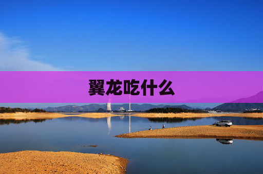 翼龙吃什么