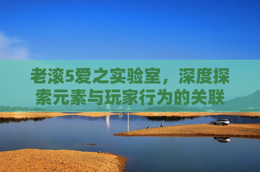 老滚5爱之实验室，深度探索元素与玩家行为的关联