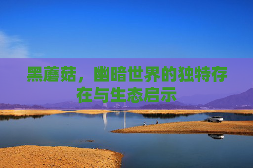 黑蘑菇,幽暗世界的独特存在与生态启示 黑蘑菇,幽暗世界的独特存在与生态启示