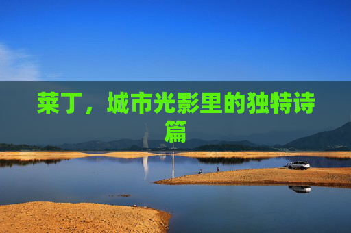 莱丁，城市光影里的独特诗篇