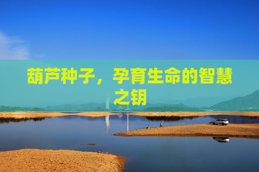 葫芦种子,孕育生命的智慧之钥 葫芦种子,孕育生命的智慧之钥