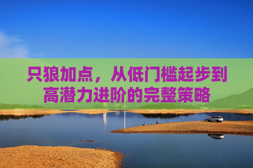 只狼加点,从低门槛起步到高潜力进阶的完整策略 只狼加点,从低门槛起步到高潜力进阶的完整策略