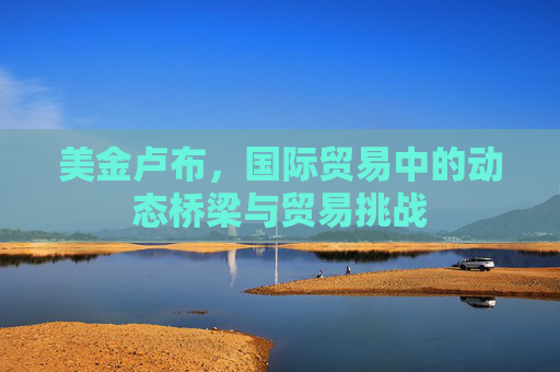 美金卢布,国际贸易中的动态桥梁与贸易挑战 美金卢布,国际贸易中的动态桥梁与贸易挑战