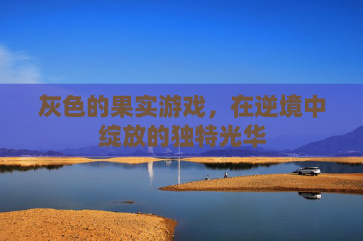 灰色的果实游戏,在逆境中绽放的独特光华 灰色的果实游戏,在逆境中绽放的独特光华