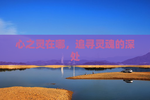 心之灵在哪，追寻灵魂的深处
