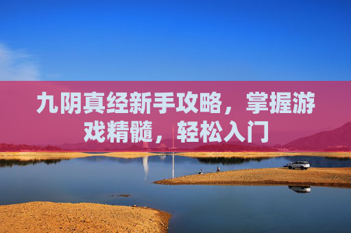 九阴真经新手攻略，掌握游戏精髓，轻松入门