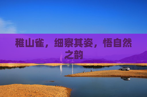 稚山雀,细察其姿,悟自然之韵 稚山雀,细察其姿,悟自然之韵