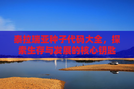 泰拉瑞亚种子代码大全,探索生存与发展的核心钥匙 泰拉瑞亚种子代码大全,探索生存与发展的核心钥匙
