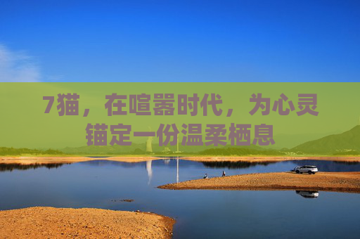 7猫,在喧嚣时代,为心灵锚定一份温柔栖息 7猫,在喧嚣时代,为心灵锚定一份温柔栖息