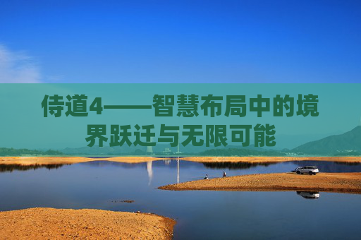 侍道4——智慧布局中的境界跃迁与无限可能 侍道4——智慧布局中的境界跃迁与无限可能