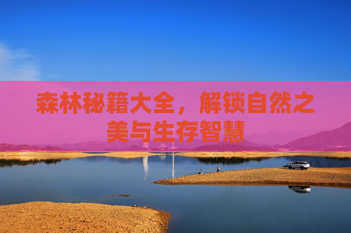 森林秘籍大全，解锁自然之美与生存智慧