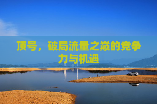 顶号,破局流量之巅的竞争力与机遇 顶号,破局流量之巅的竞争力与机遇