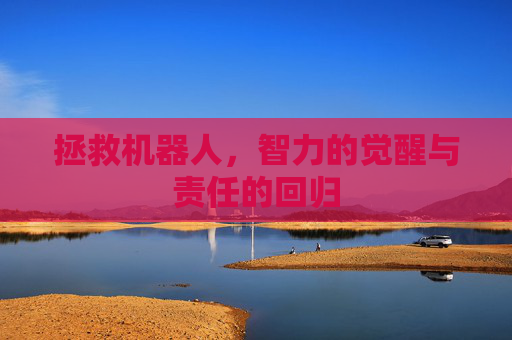 拯救机器人，智力的觉醒与责任的回归