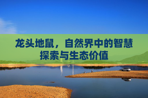 龙头地鼠,自然界中的智慧探索与生态价值 龙头地鼠,自然界中的智慧探索与生态价值