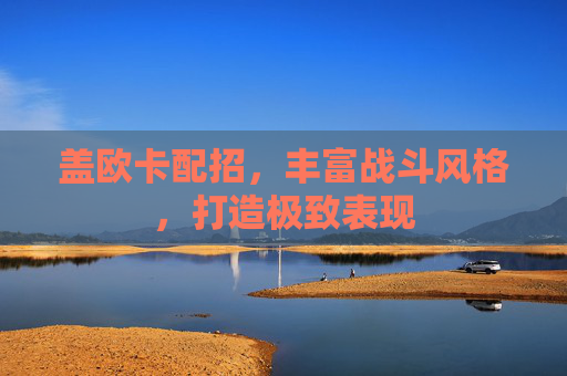 盖欧卡配招，丰富战斗风格，打造极致表现