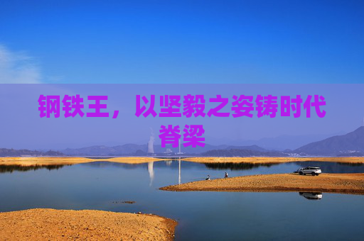 钢铁王,以坚毅之姿铸时代脊梁 钢铁王,以坚毅之姿铸时代脊梁