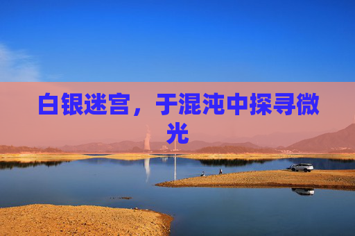 白银迷宫,于混沌中探寻微光 白银迷宫,于混沌中探寻微光