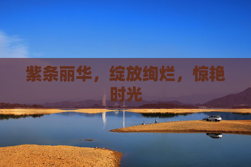 紫条丽华,绽放绚烂,惊艳时光 紫条丽华,绽放绚烂,惊艳时光