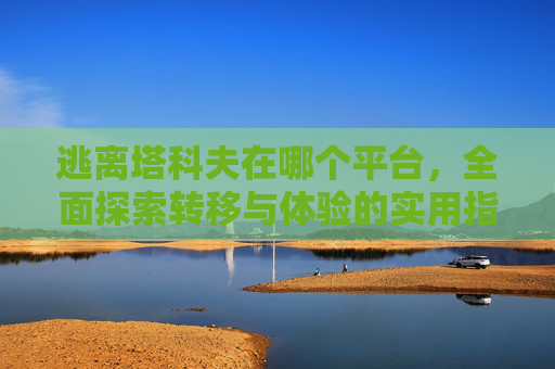 逃离塔科夫在哪个平台，全面探索转移与体验的实用指南