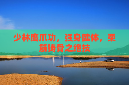 少林鹰爪功，强身健体，柔筋铸骨之绝技