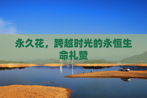 永久花,跨越时光的永恒生命礼赞 永久花,跨越时光的永恒生命礼赞