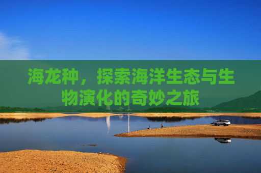 海龙种,探索海洋生态与生物演化的奇妙之旅 海龙种,探索海洋生态与生物演化的奇妙之旅
